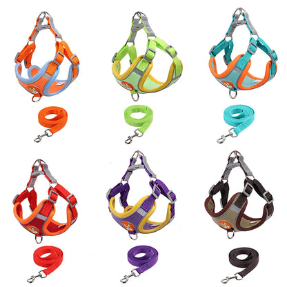 No Pull Pet Dog Harness and Leash Set