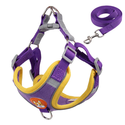 No Pull Pet Dog Harness and Leash Set