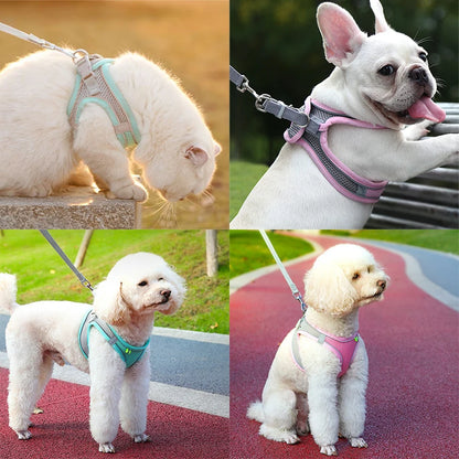 Cat Harness Leash Set for Small Dogs & Cats