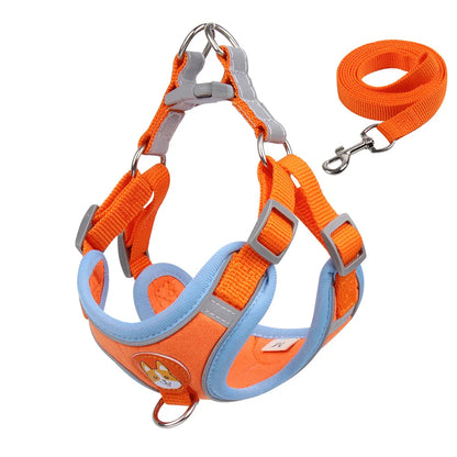 No Pull Pet Dog Harness and Leash Set