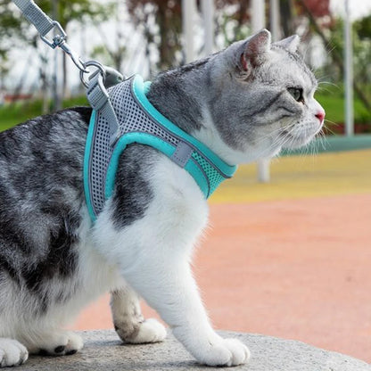 Cat Harness Leash Set for Small Dogs & Cats