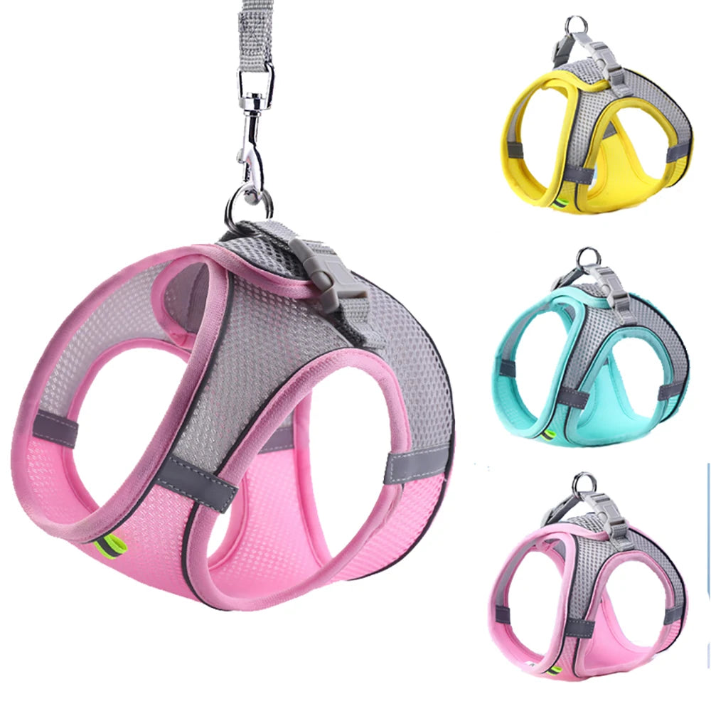 Cat Harness Leash Set for Small Dogs & Cats