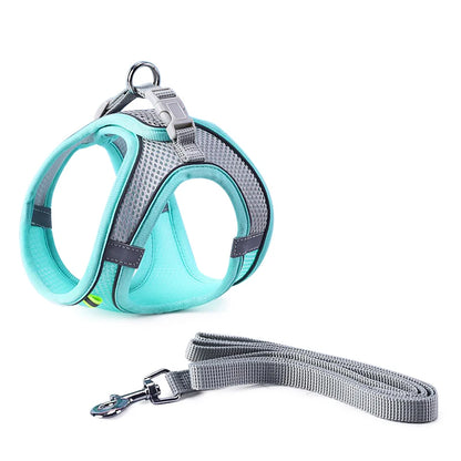 Cat Harness Leash Set for Small Dogs & Cats