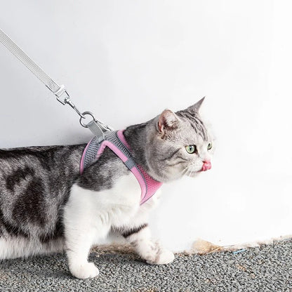 Cat Harness Leash Set for Small Dogs & Cats