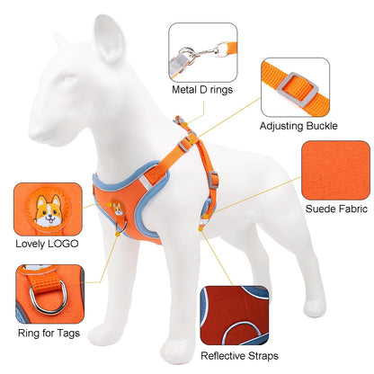 No Pull Pet Dog Harness and Leash Set