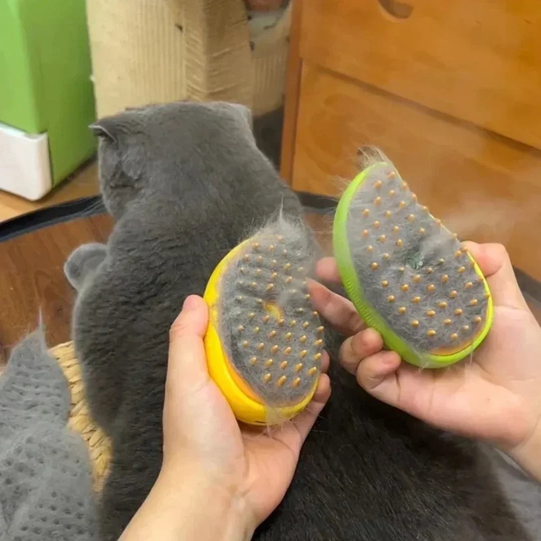 3-in-1 Cat Steamy Brush for Pets