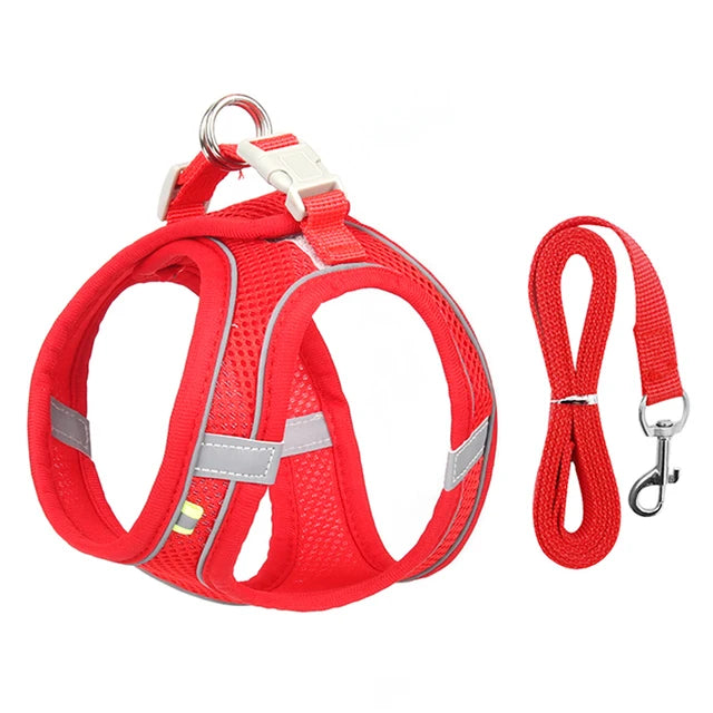 Cat Harness Leash Set for Small Dogs & Cats