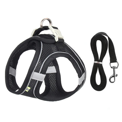 Cat Harness Leash Set for Small Dogs & Cats