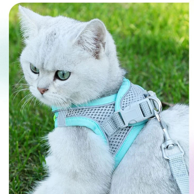 Cat Harness Leash Set for Small Dogs & Cats