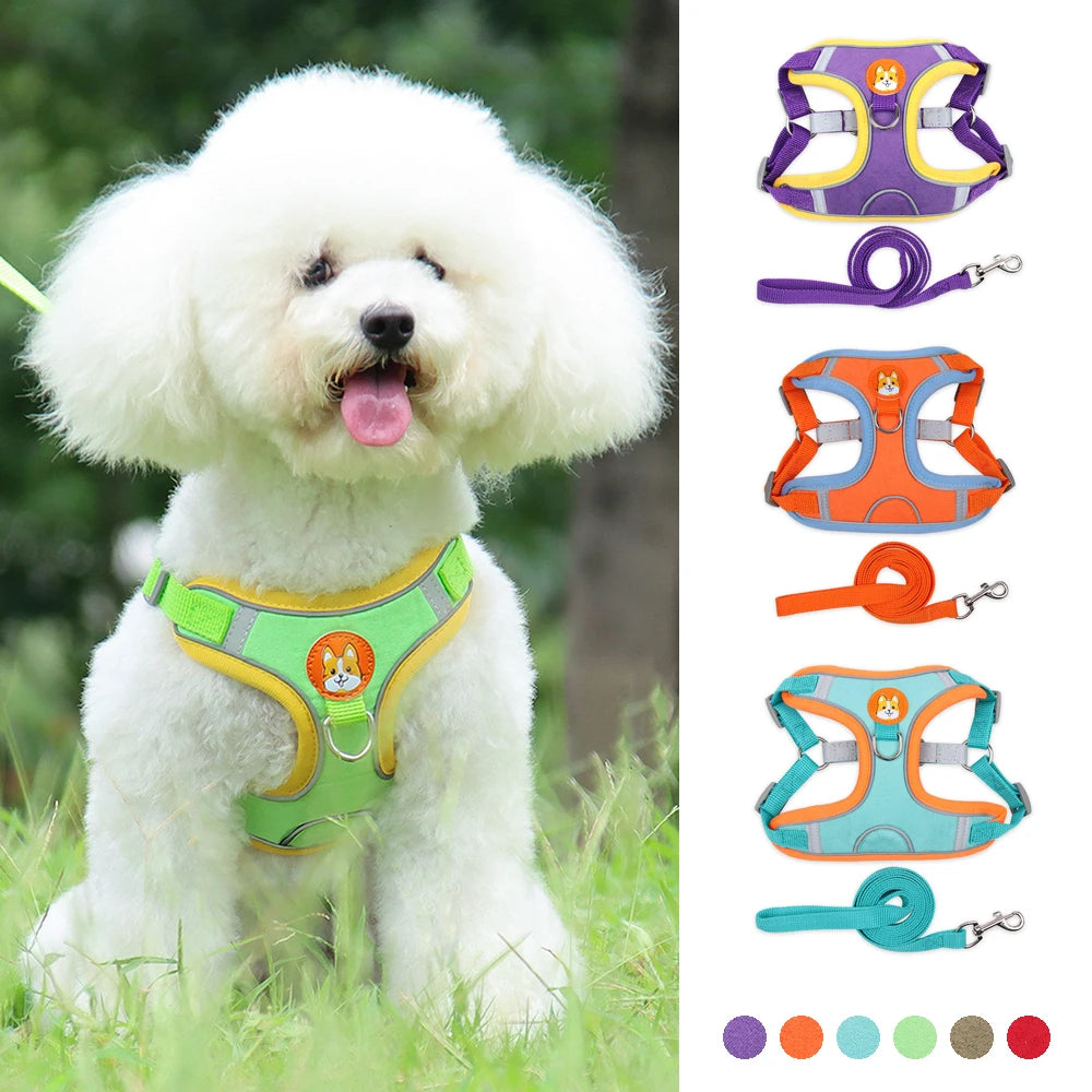 No Pull Pet Dog Harness and Leash Set